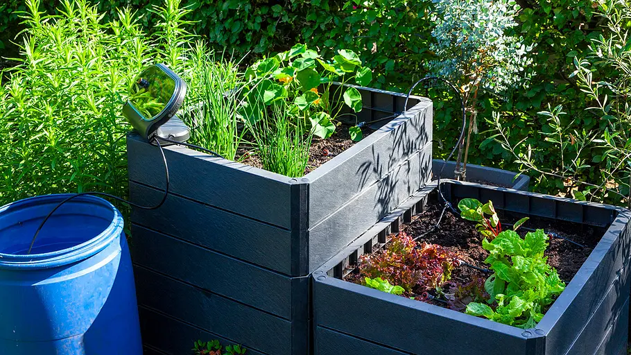 Solar-Bewässerung Hochbeet Eine Solar-Bewässerungsanlage versorgt ein bepflanztes, schwarzes Hochbeet neben einer blauen Regentonne mit Wasser.