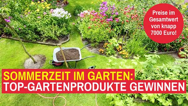 Gartenpflege im Sommer - Foto: iStock / schulzie | Collage / sidm