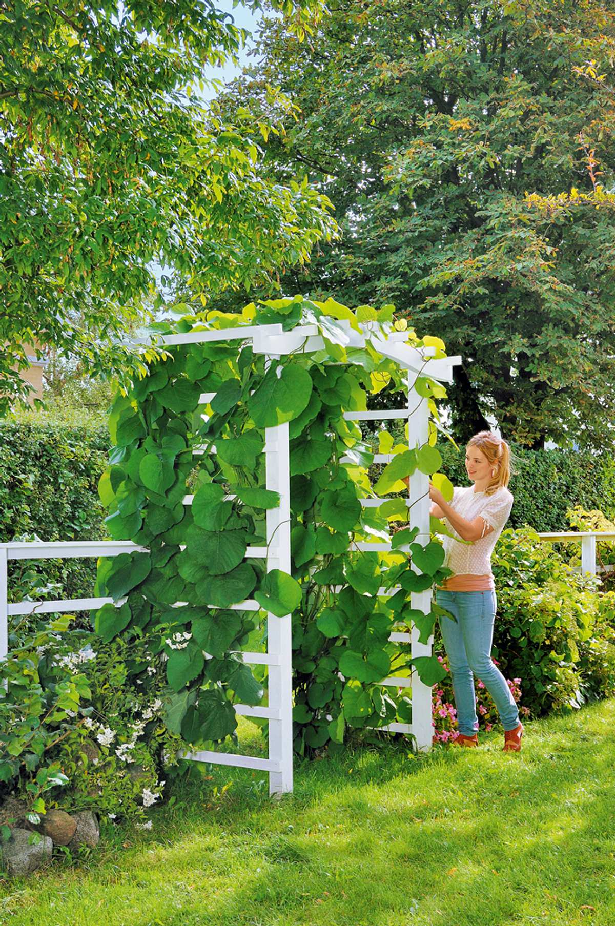Zaun: Spalier als Gartenpforte bauen