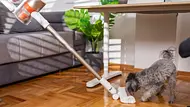 Ein Staubsauger für Tierhaare - Foto: istock/freemixer Ein Staubsauger für Tierhaare - Foto: istock/freemixer