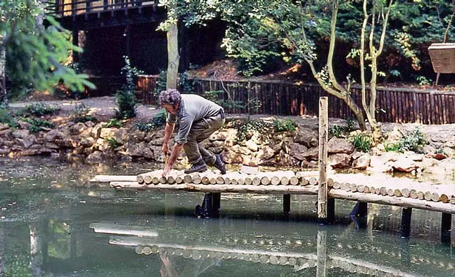 Bootssteg bauen Steg bauen