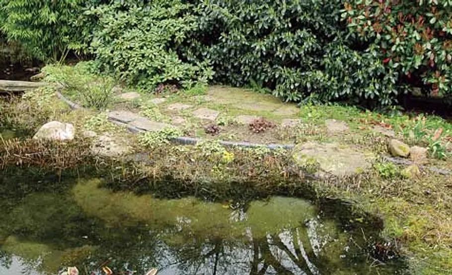 Steg bauen: Schritt 1 von 40 Teich-Steg bauen