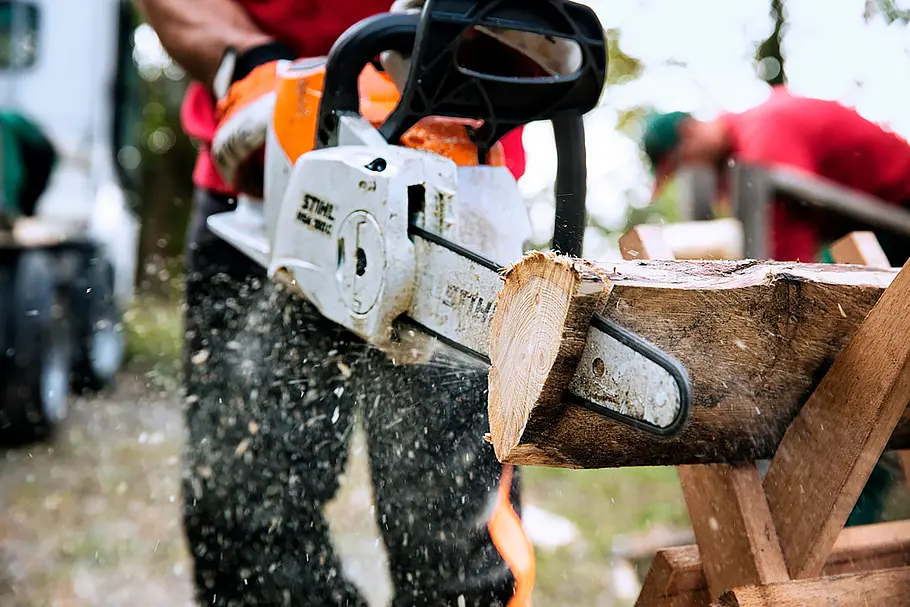 Nahaufnahme einer STIHL Motorsäge beim Durchtrennen eines Holzstamms, während Sägespäne durch die Luft fliegen.