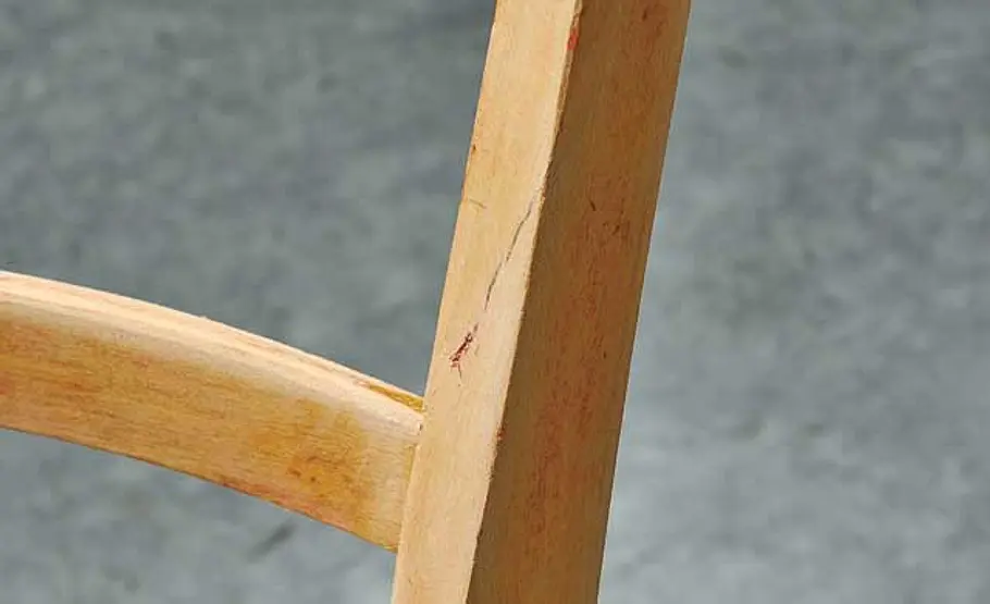 Lack entfernen: Schritt 11 von 13 Riss im Holz kitten