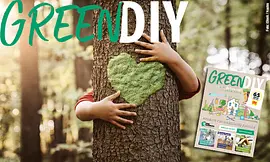 Green DIY – nachhaltig heimwerken