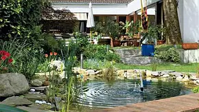Teich anlegen