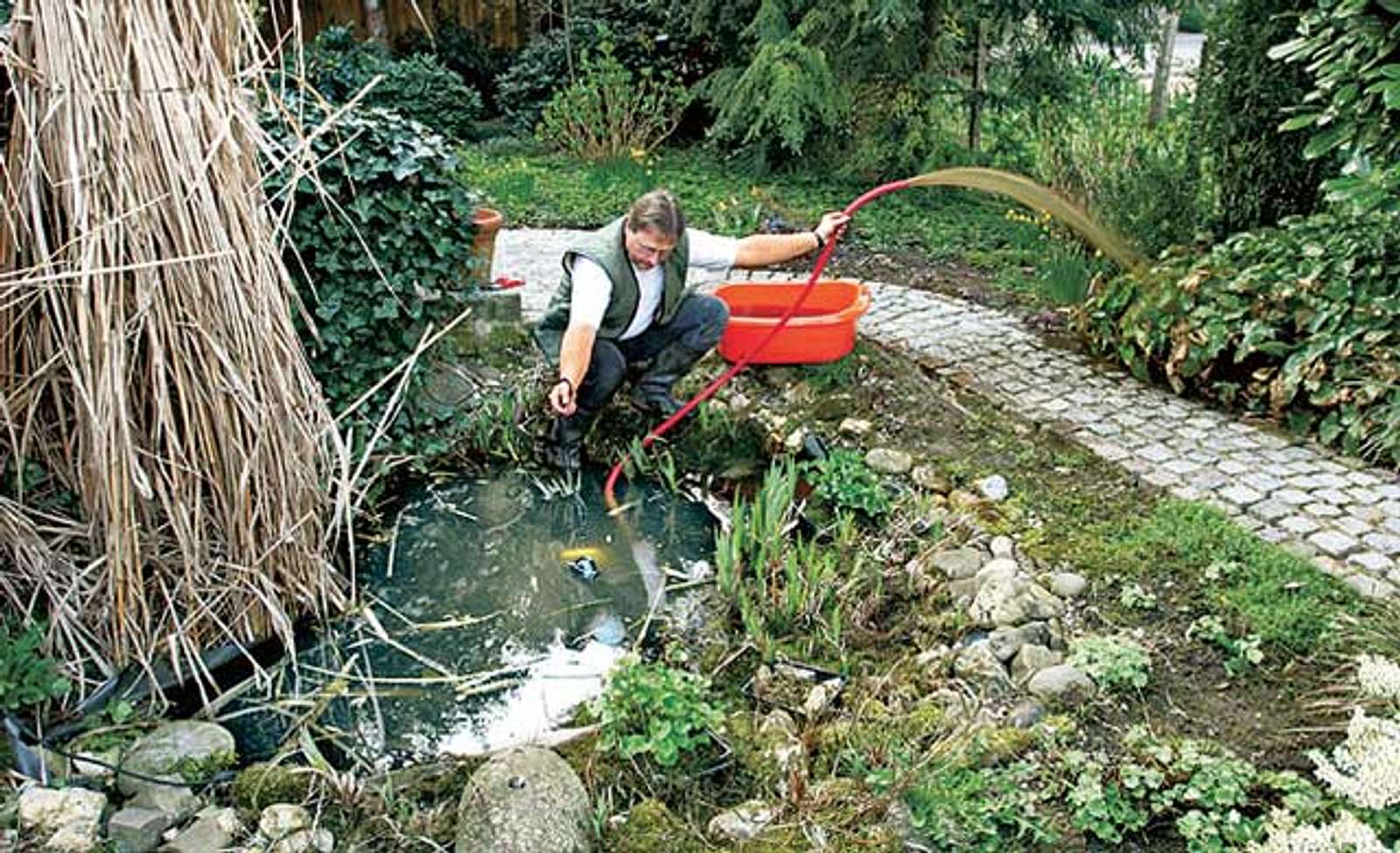 Teich sanieren selbst.de