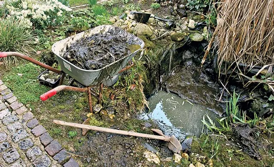 Teich sanieren: Schritt 2 von 22 Schlamm ausgraben