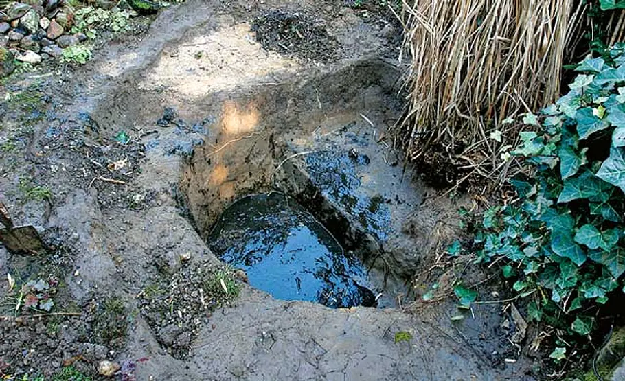 Teich sanieren: Schritt 4 von 22 Teichgrube ausheben