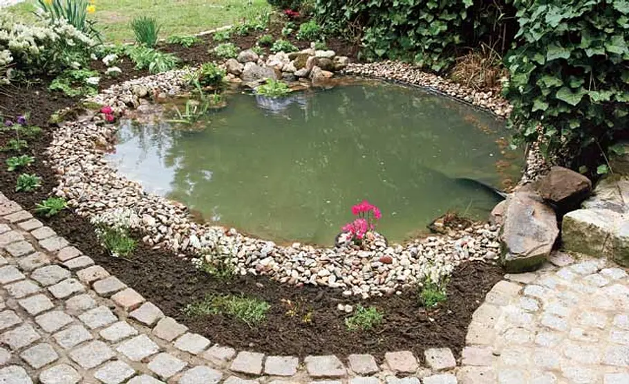 Teich sanieren: Schritt 22 von 22 Sanierter Gartenteich