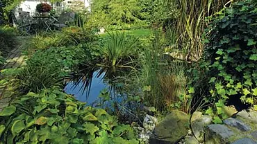 Gartenteich sanieren | selbst.de Gartenteich sanieren | selbst.de