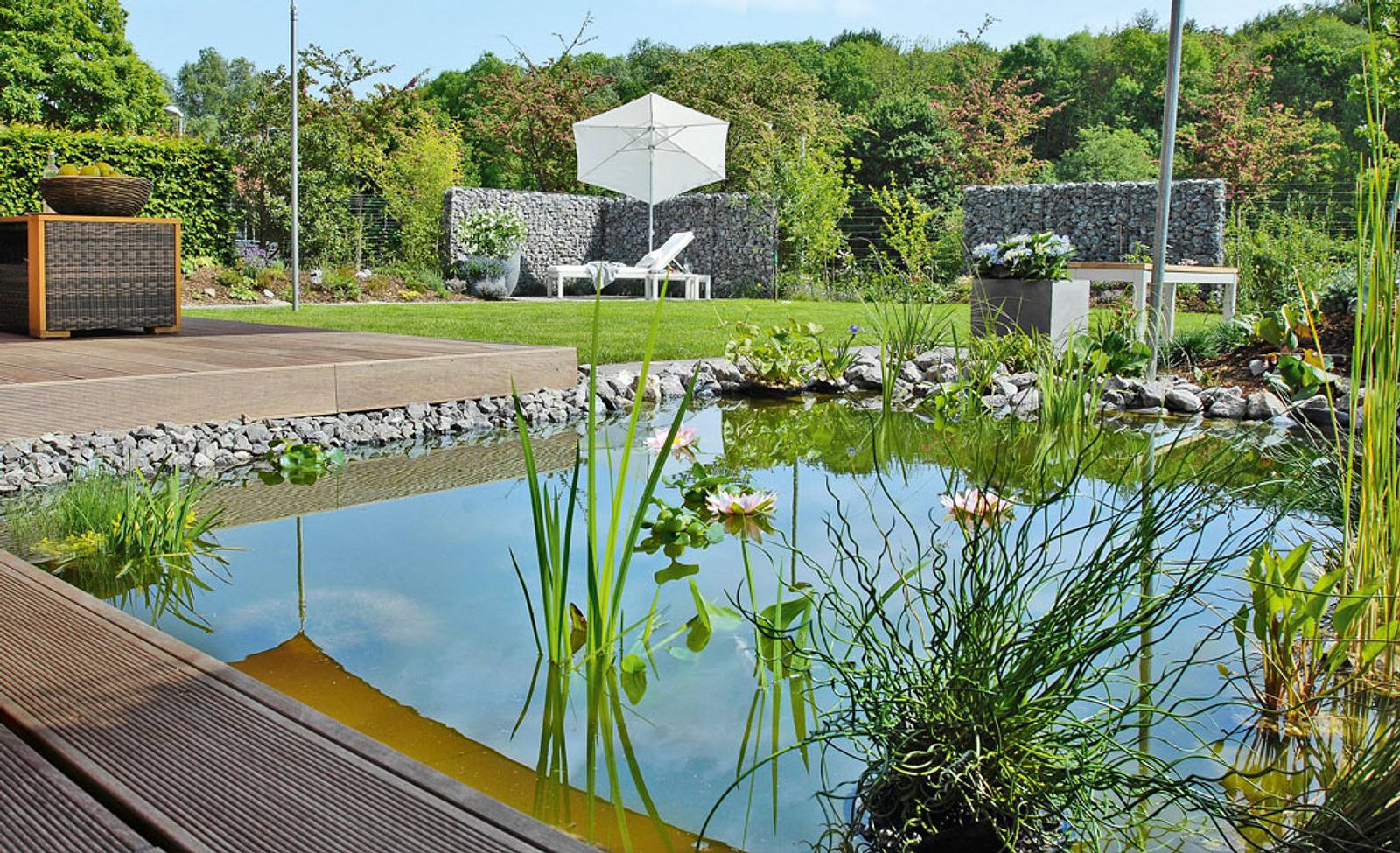 50+ Ph Wert Im Teich Erhöhen Hausmittel, Mit diesen mitteln können