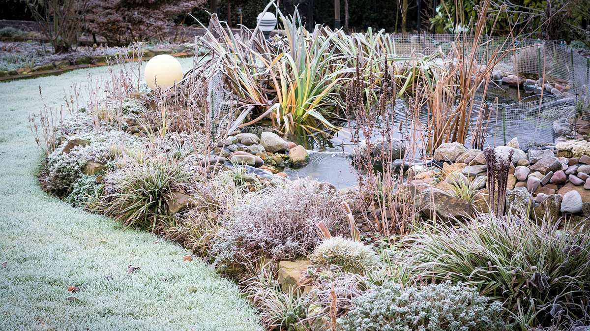 Garten im Winter