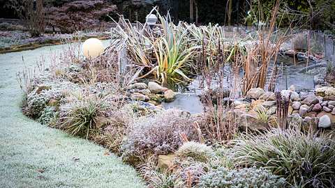 Garten im Winter - Foto: stock.adobe.com / Andrea