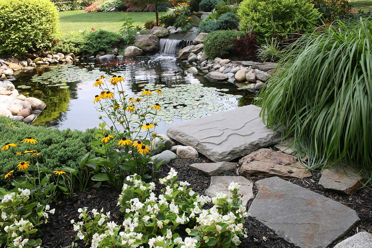 Ein sauberer und liebevoll angelegter Teich in einem schönem Garten voller bunter Blumen und Pflanzen