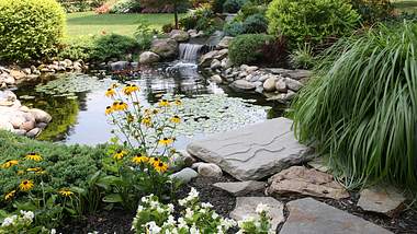 Ein sauberer und liebevoll angelegter Teich in einem schönem Garten voller bunter Blumen und Pflanzen - Foto: iStock/cjmckendry