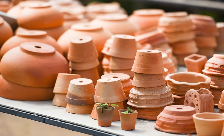 Saubere Terracotta-Töpfe sehen noch schöner aus. Und das Reinigen ist eigentlich so einfach.