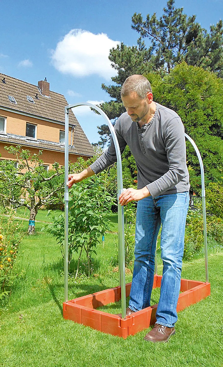 In diesem Zelt reifen Tomaten regengeschützt Tomatenhaus