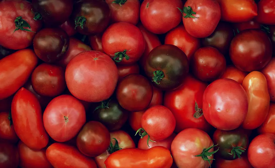 Tomatensorten