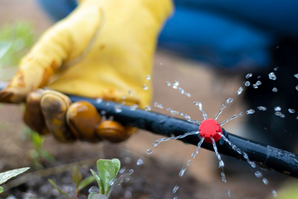 Tröpfchenbewässerung: Die ideale Lösung für eine entspannte, automatische Bewässerung.