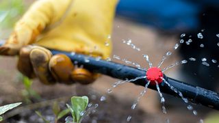 Tröpfchenbewässerung: Die ideale Lösung für eine entspannte, automatische Bewässerung. - Foto: istock/ Pablo Vivaracho Hernandez