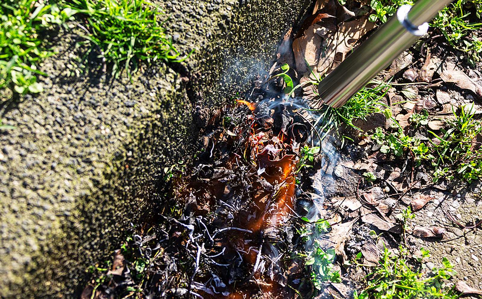 Unkraut abflammen selbst.de