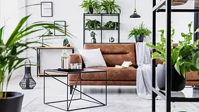Diese Pflanzen braucht Ihre Urban Jungle Wohnung - Foto: iStock / KatarzynaBialasiewicz Diese Pflanzen braucht Ihre Urban Jungle Wohnung - Foto: iStock / KatarzynaBialasiewicz