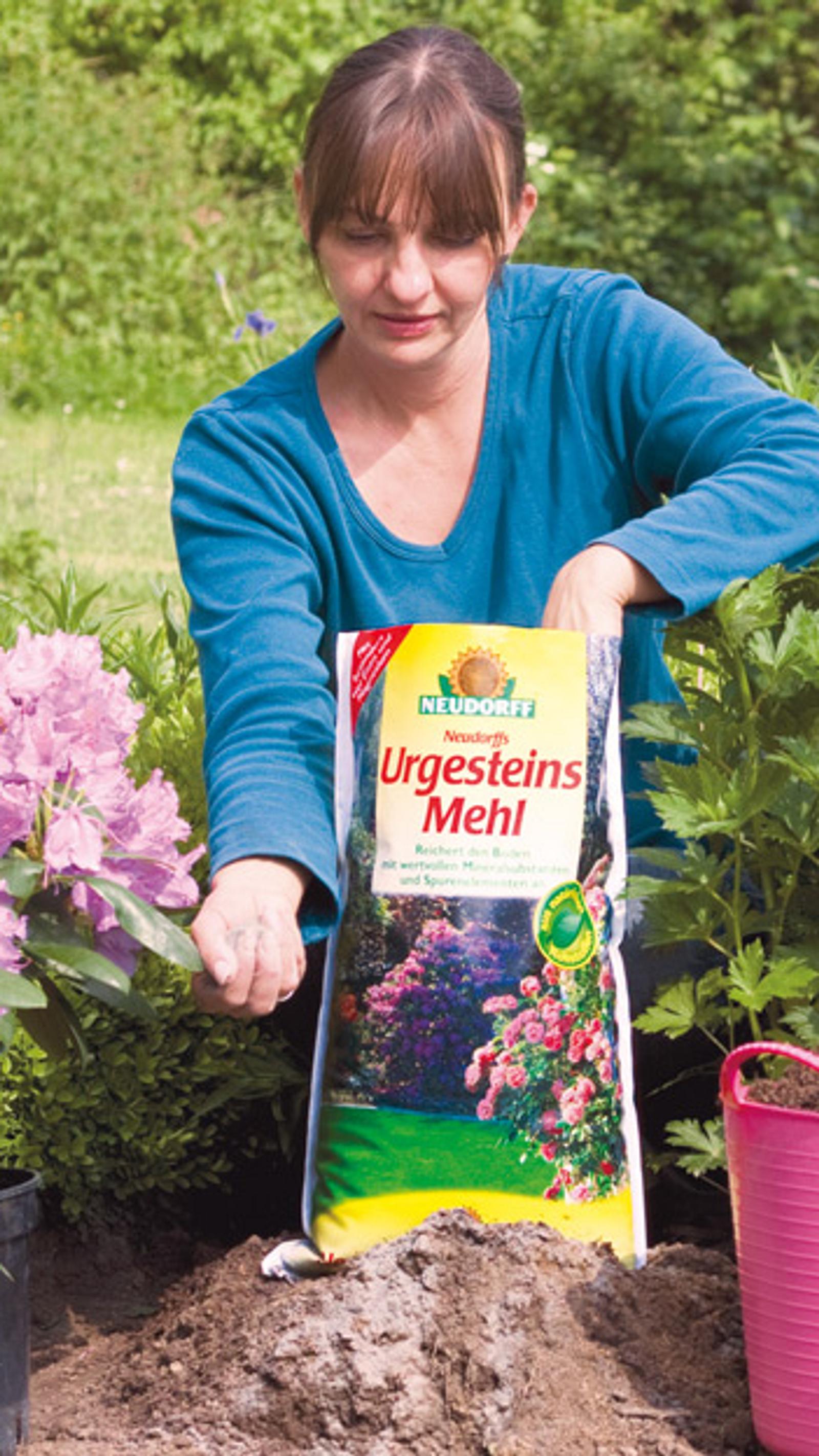 Gesteinsmehl | Selbst