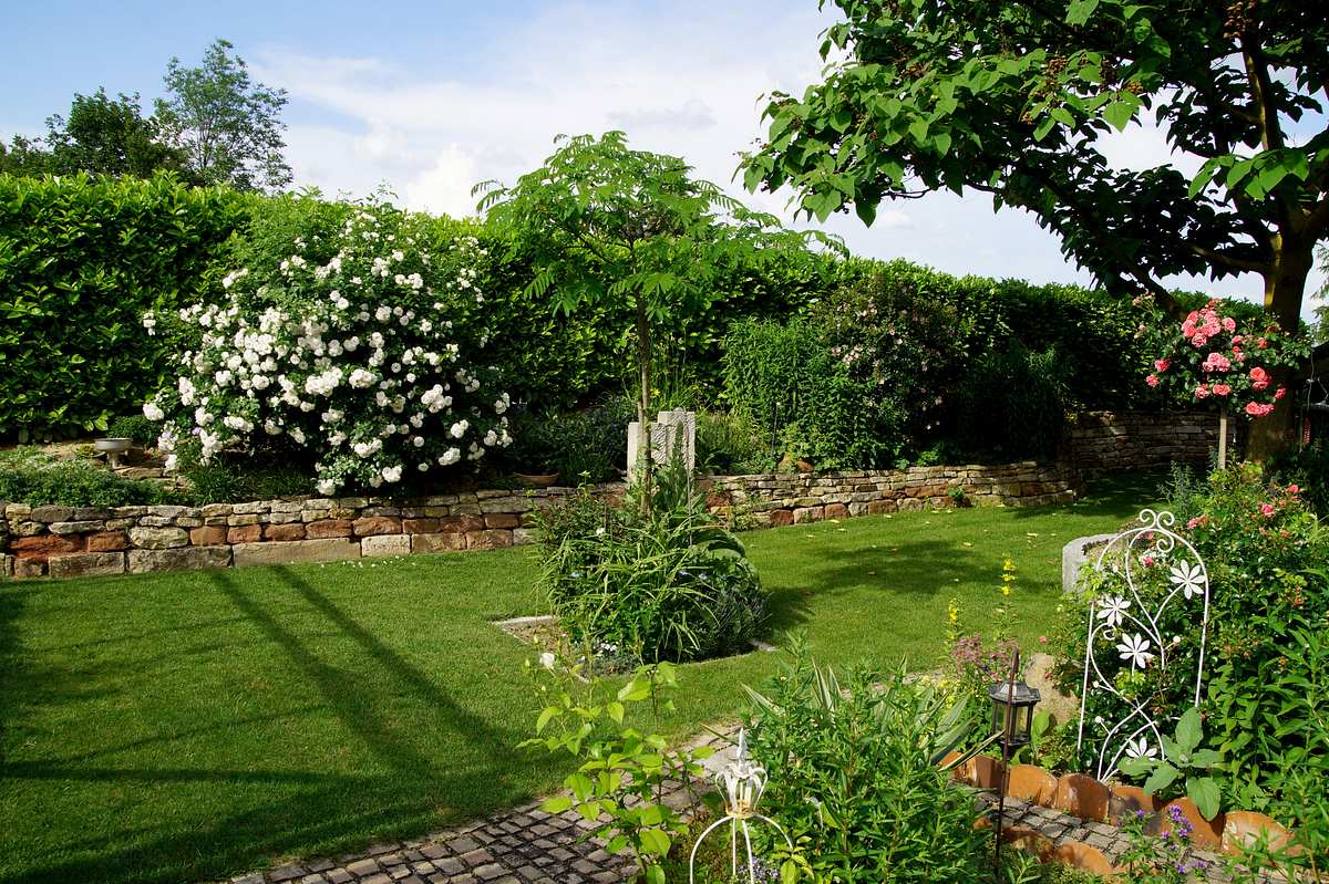 Ein gepflegter Garten mit strahlend grünem Rasen und blühenden Pflanzen