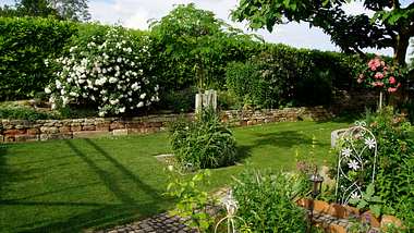 Ein gepflegter Garten mit strahlend grünem Rasen und blühenden Pflanzen - Foto: iStock/Imagesines