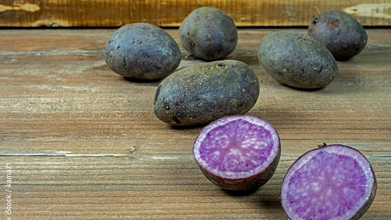 Lila Kartoffelsorte: Violetta | Die beliebtesten Kartoffelsorten | Selbst