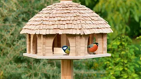 Vogel-Futterhaus bauen Vogel-Futterhaus bauen