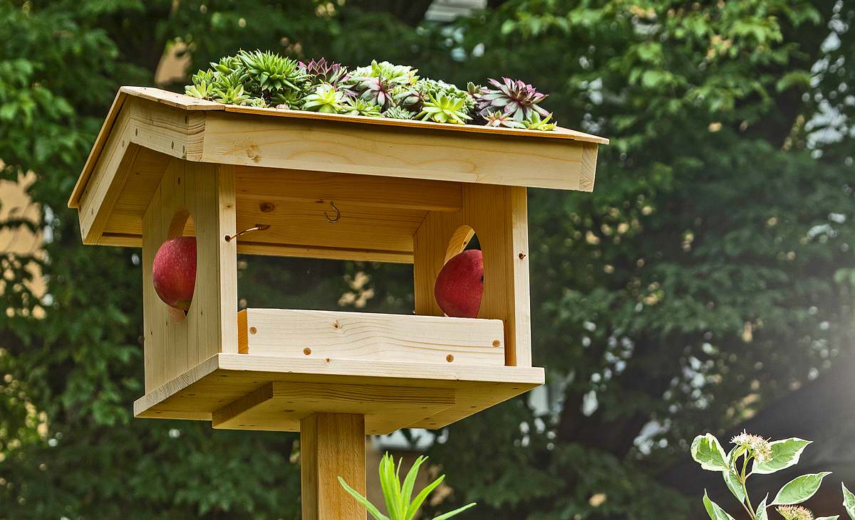 Aktuelles Heft GartenSonderheft selbst.de