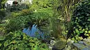 Wassergarten Wassergarten