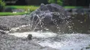 Teichzubehör Teichzubehör