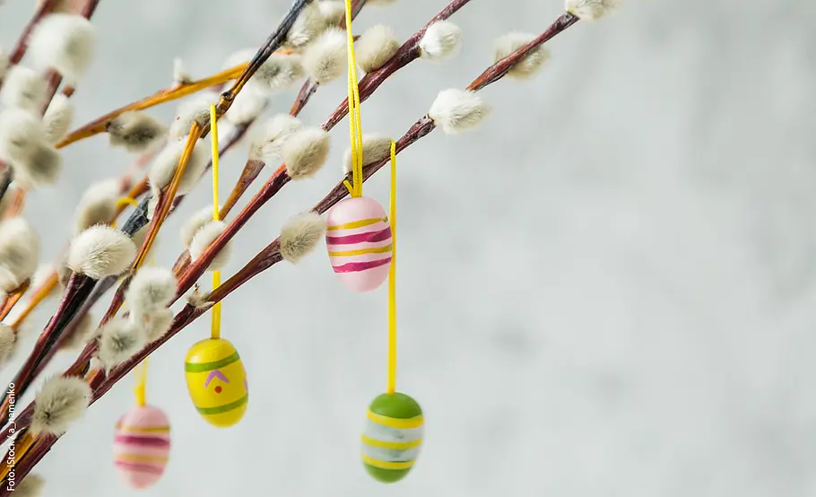 Weidenkätzchen-Osterdeko Bunte Ostereier an Weidenkätzchen-Zweigen
