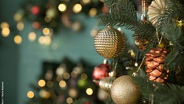 Dieser Schmuck gehört auf jeden Weihnachtsbaum | - Foto: iStock / Maria Badaeva