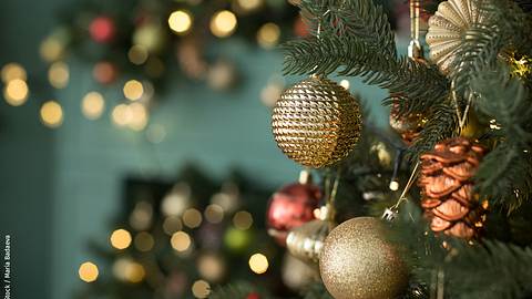 Dieser Schmuck gehört auf jeden Weihnachtsbaum | - Foto: iStock / Maria Badaeva