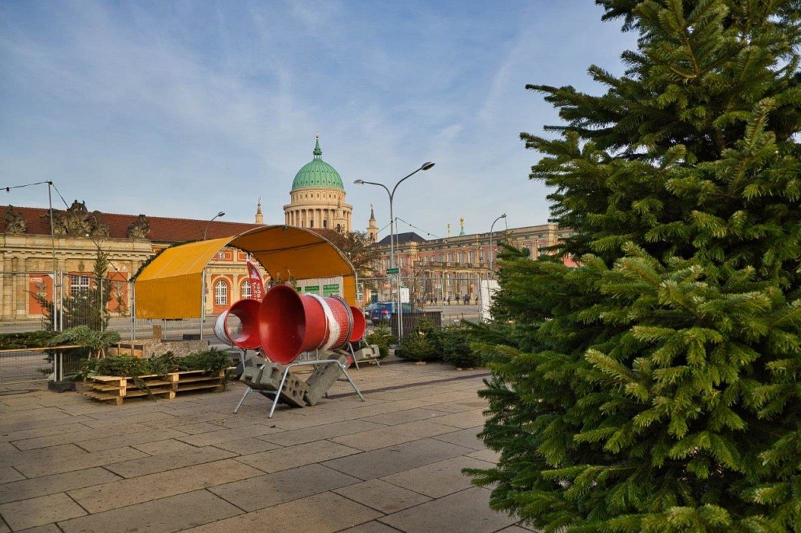 Wann Weihnachtsbaum kaufen selbst.de