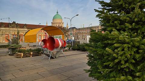 Tannenbaum kaufen - Foto: Verband natürlicher Weihnachtsbaum e.V. / Werderaner Tannenhof