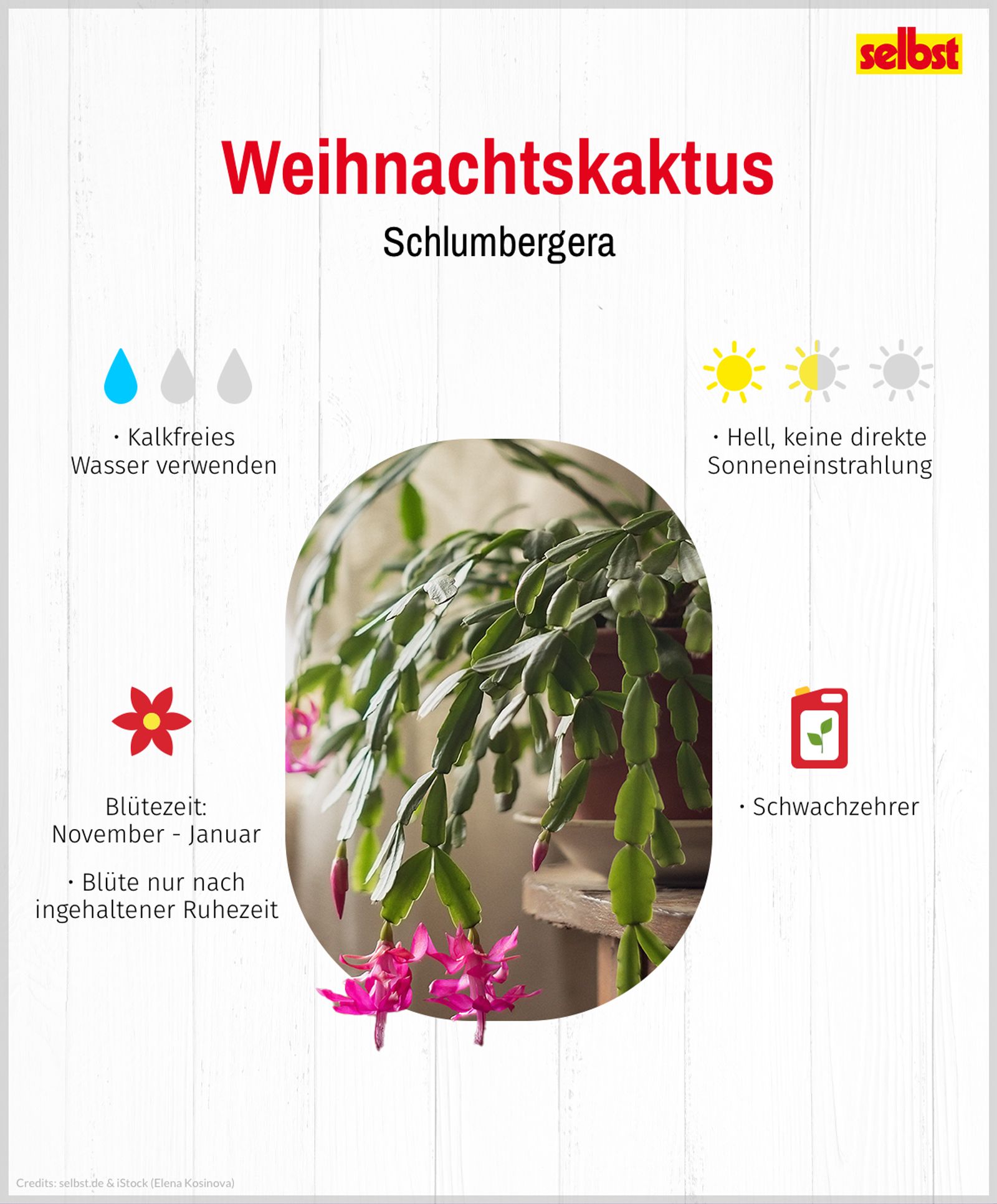 100 percent aloe vera Fruit of the Earth 100% Pure Aloe Gel 2 oz Travel Size – Travel Kit Builder  by Handy Solutions main image 0
