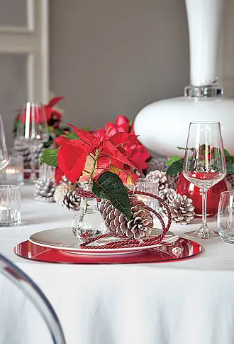 Weihnachtsstern dekorieren | Selbst