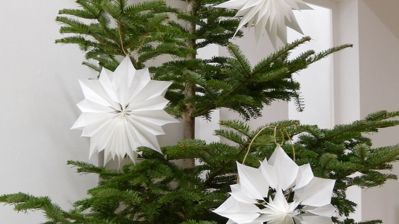 Weihnachtssterne aus Brottten | Selbst