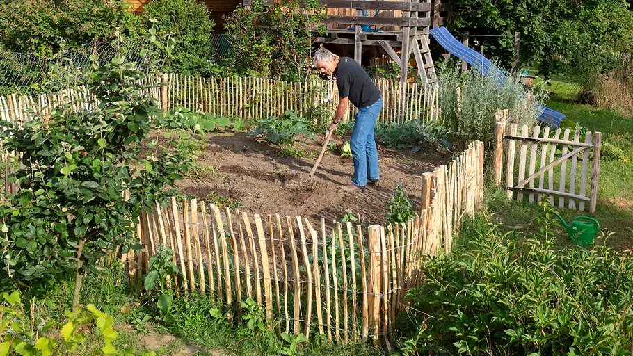 GARTENPRAXIS: Wühlmäuse