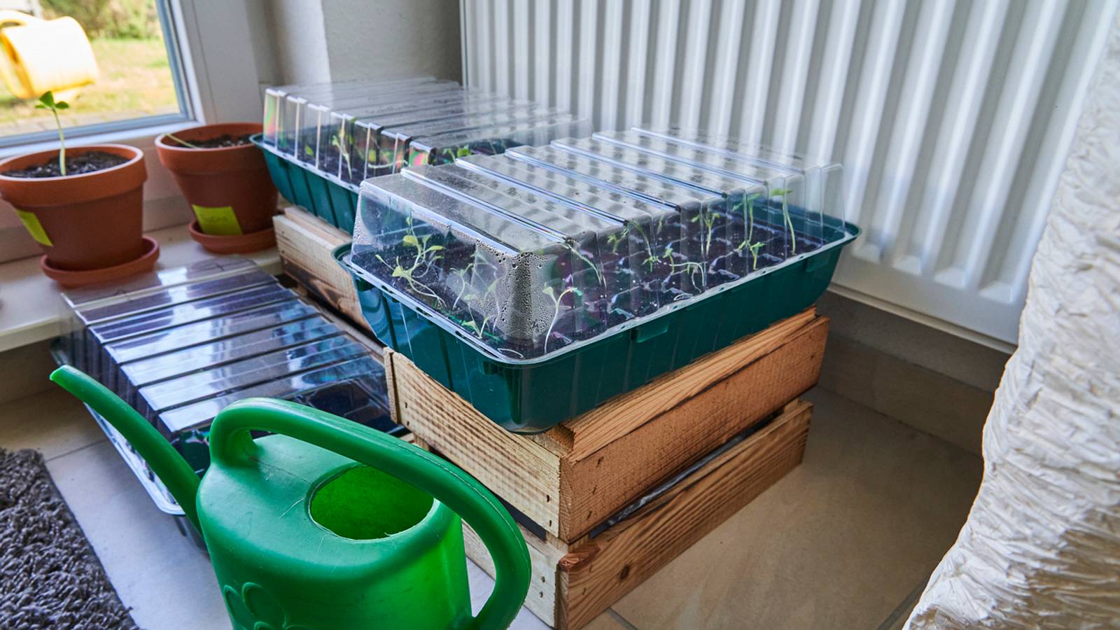 Zimmergewchshaus - Praktische Pflanzenhter fr drinnen | Selbst