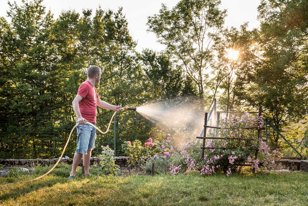 Gartenbewässerung mithilfe einer Zisternenpumpe